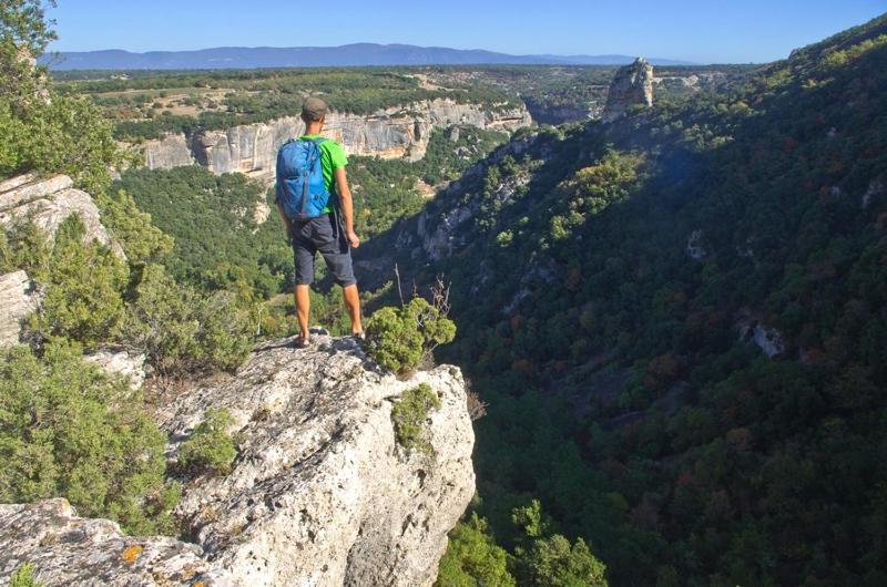Gite Hanna En Luberon - Le Boisset De St Martin De Castillon Saint-Martin-de-Castillon Dış mekan fotoğraf
