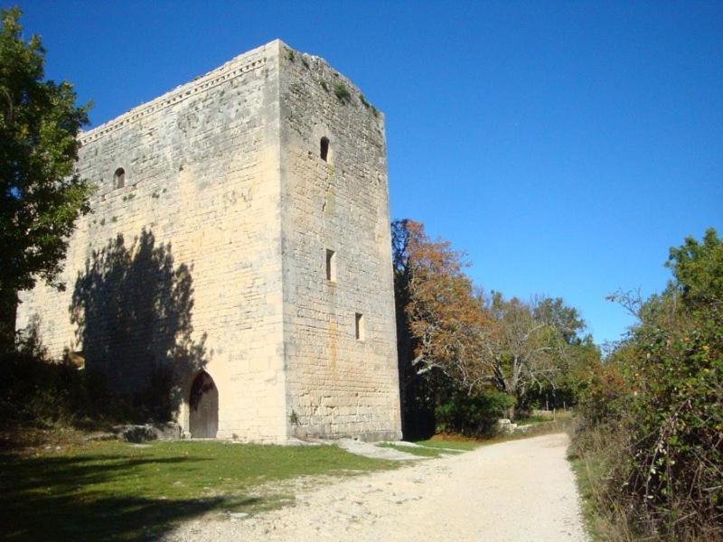 Gite Hanna En Luberon - Le Boisset De St Martin De Castillon Saint-Martin-de-Castillon Dış mekan fotoğraf