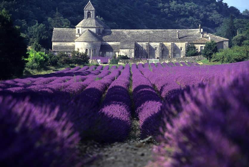 Gite Hanna En Luberon - Le Boisset De St Martin De Castillon Saint-Martin-de-Castillon Dış mekan fotoğraf